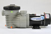 BLUE TORRENT Hurricane 1.5 HP Above Ground Swimming Pool Pump