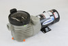 BLUE TORRENT Hurricane 1.5 HP Above Ground Swimming Pool Pump