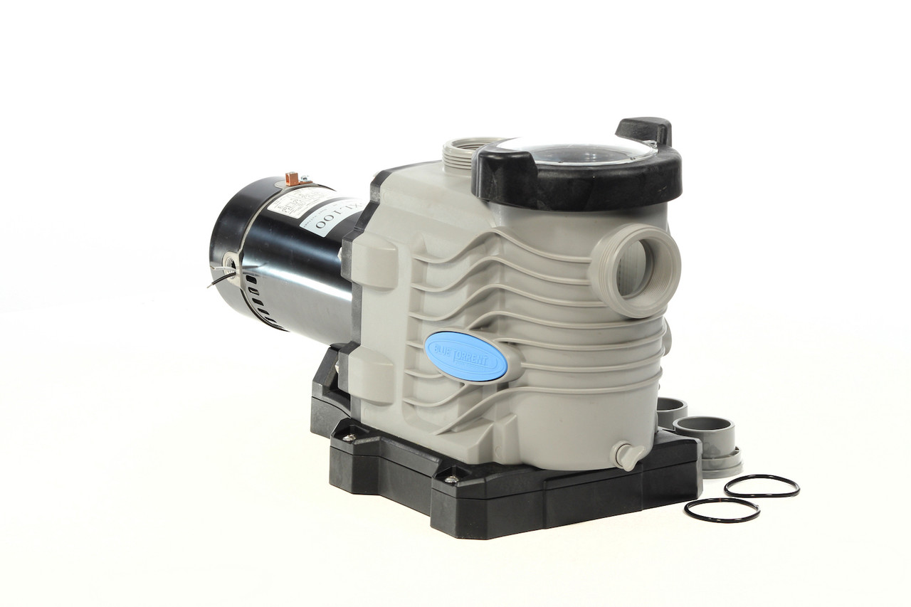 Blue Torrent Pro Series 1.5 HP Dual Speed In Ground Swimming