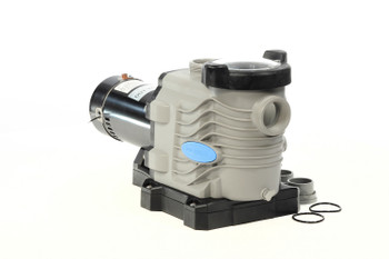 Blue Torrent Pro Series 1.5 HP Dual Speed In Ground Swimming Pool Pump