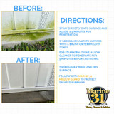 Marine 31 Mildew Stain Remover Gel