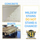 Marine 31 Mildew Stain Remover