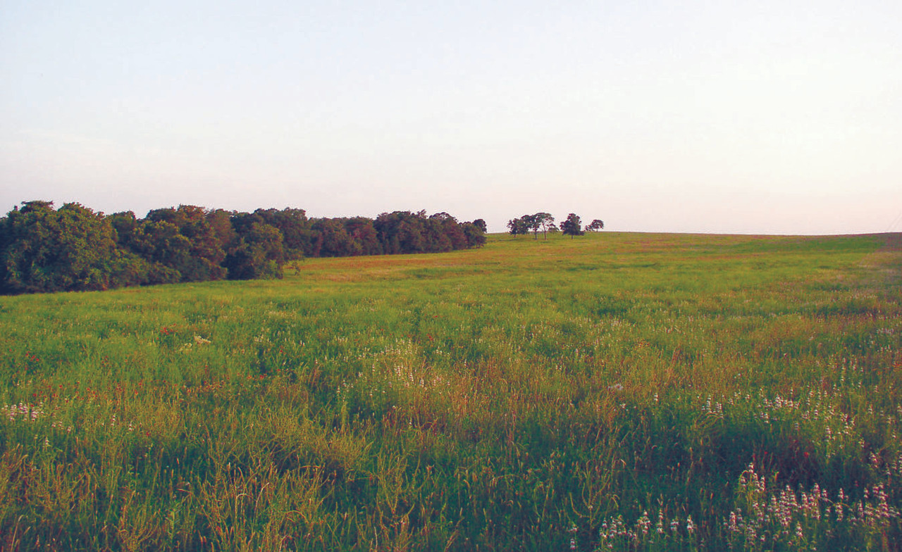 Oakwoods Prairie Oakwoods Prairie