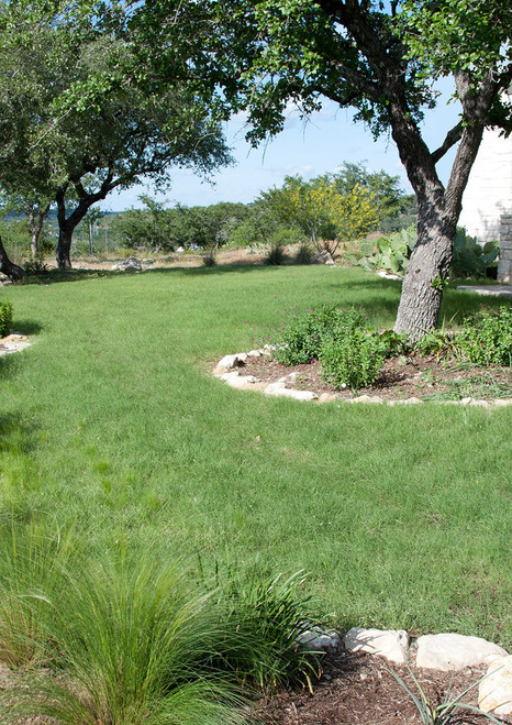 photo by Margaret J.