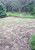 Thunder Turf BEFORE photo by William Beer
