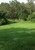 Thunder Turf AFTER photo by William Beer