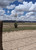 Native American Seed Horned Lizard Habitat Mix