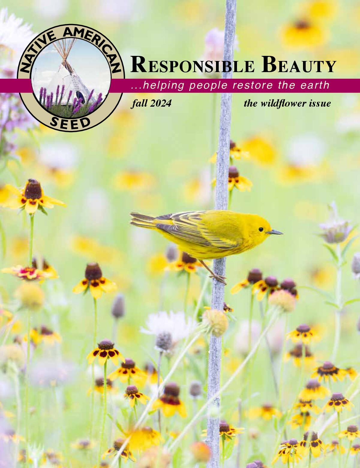 Native American Seed Wildflowers and Native Prairie Grasses