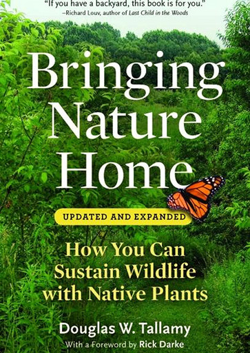 Bringing Nature Home | Native American Seed