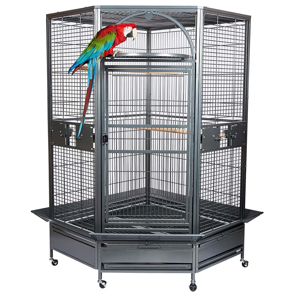 Stunning Marshall An Old Large Parrot Cage image