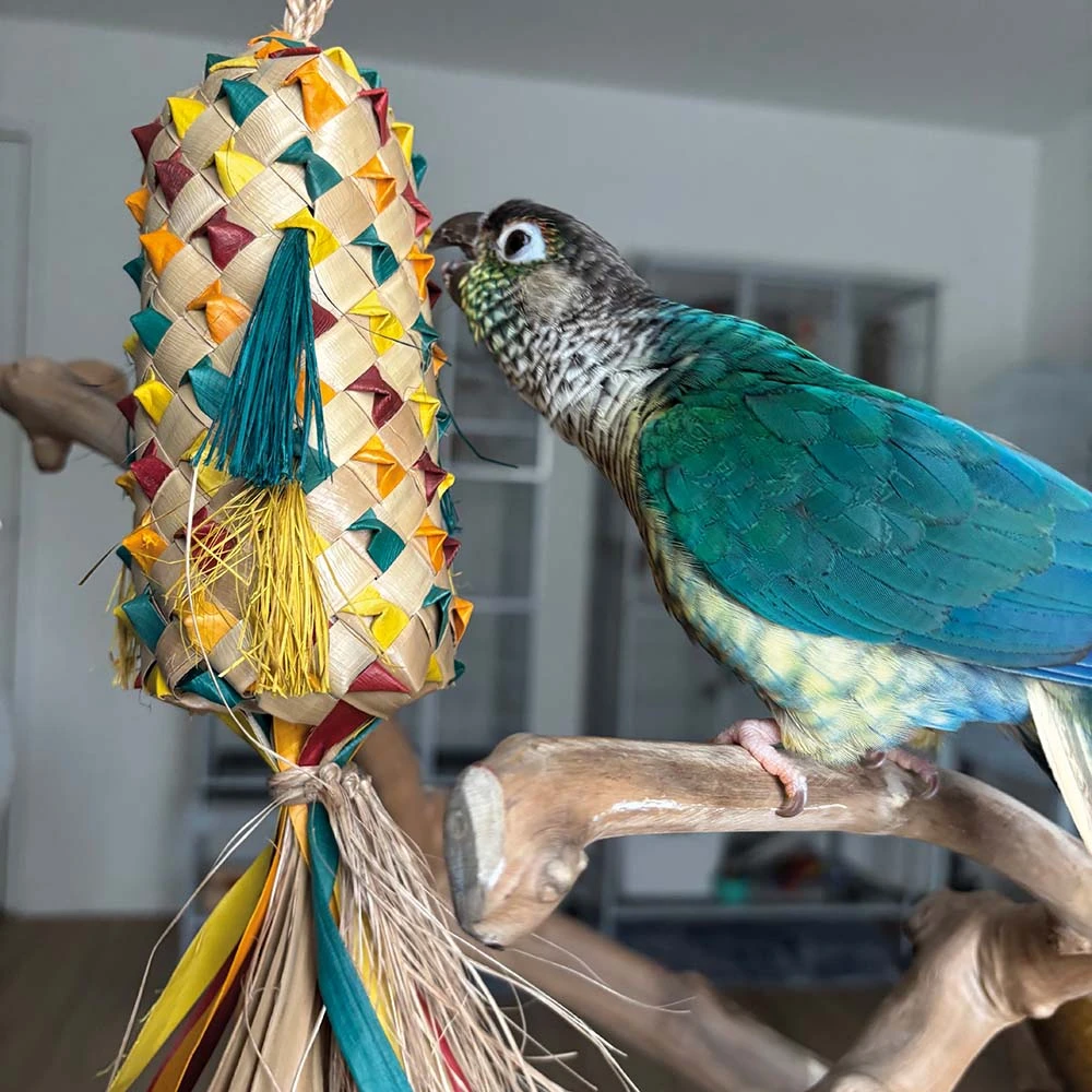 Foraging Pinata Medium Natural Woven Palm Leaf Parrot Toy - Northern ...