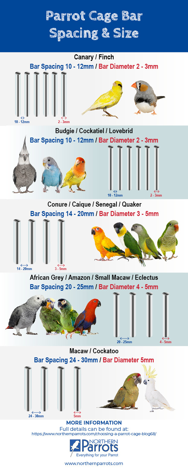Parrot Cage Bar Spacing Info - Northern Parrots