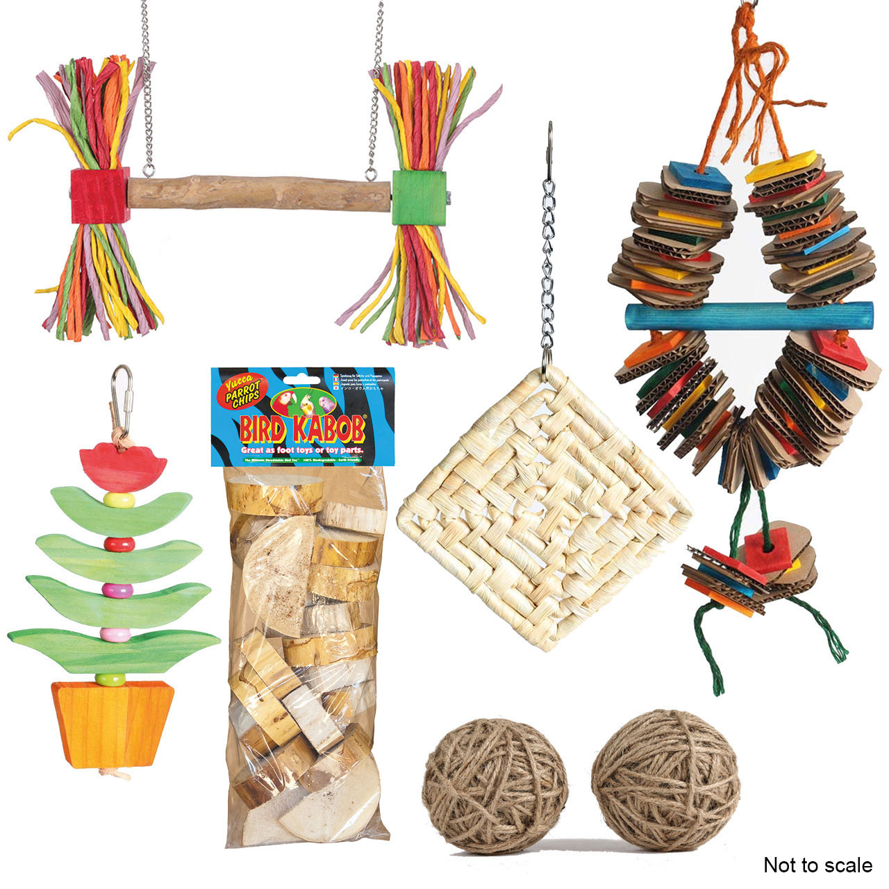 Northern Parrots Sensational Summer Toy Pack - Northern Parrots