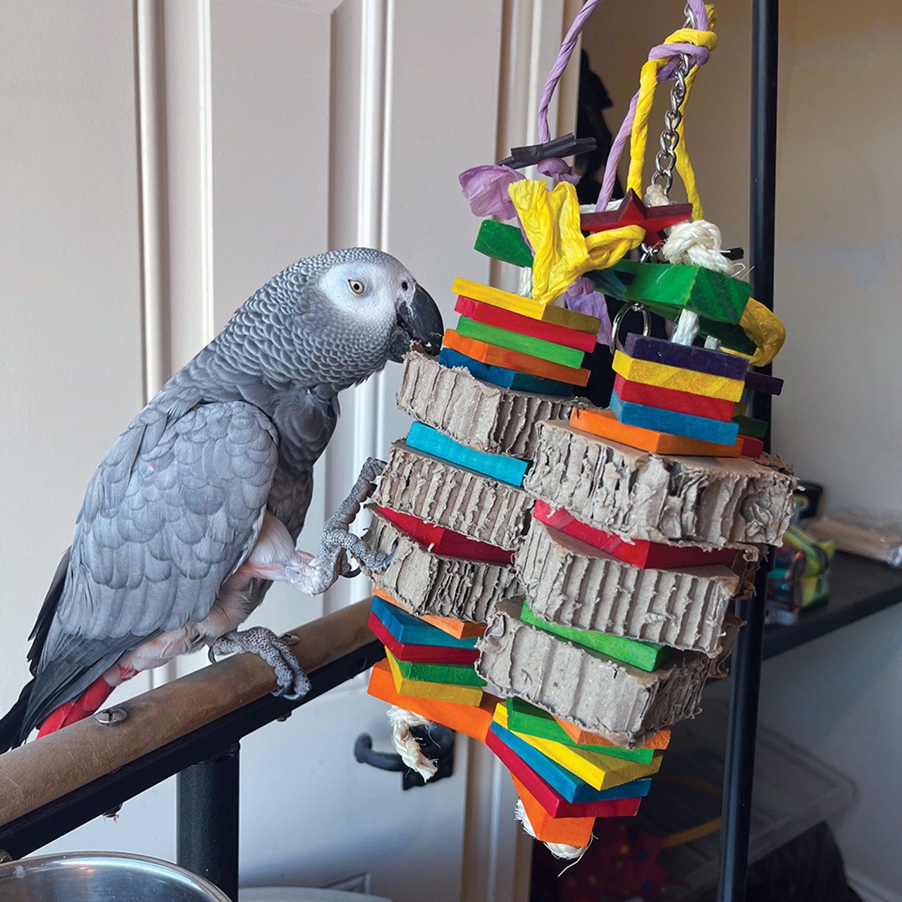 African grey parrot toys clearance sale