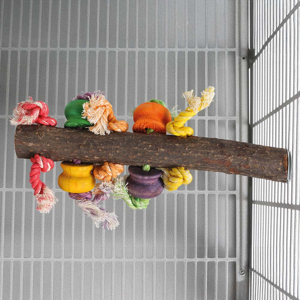 Gallery image with a fresh perspective