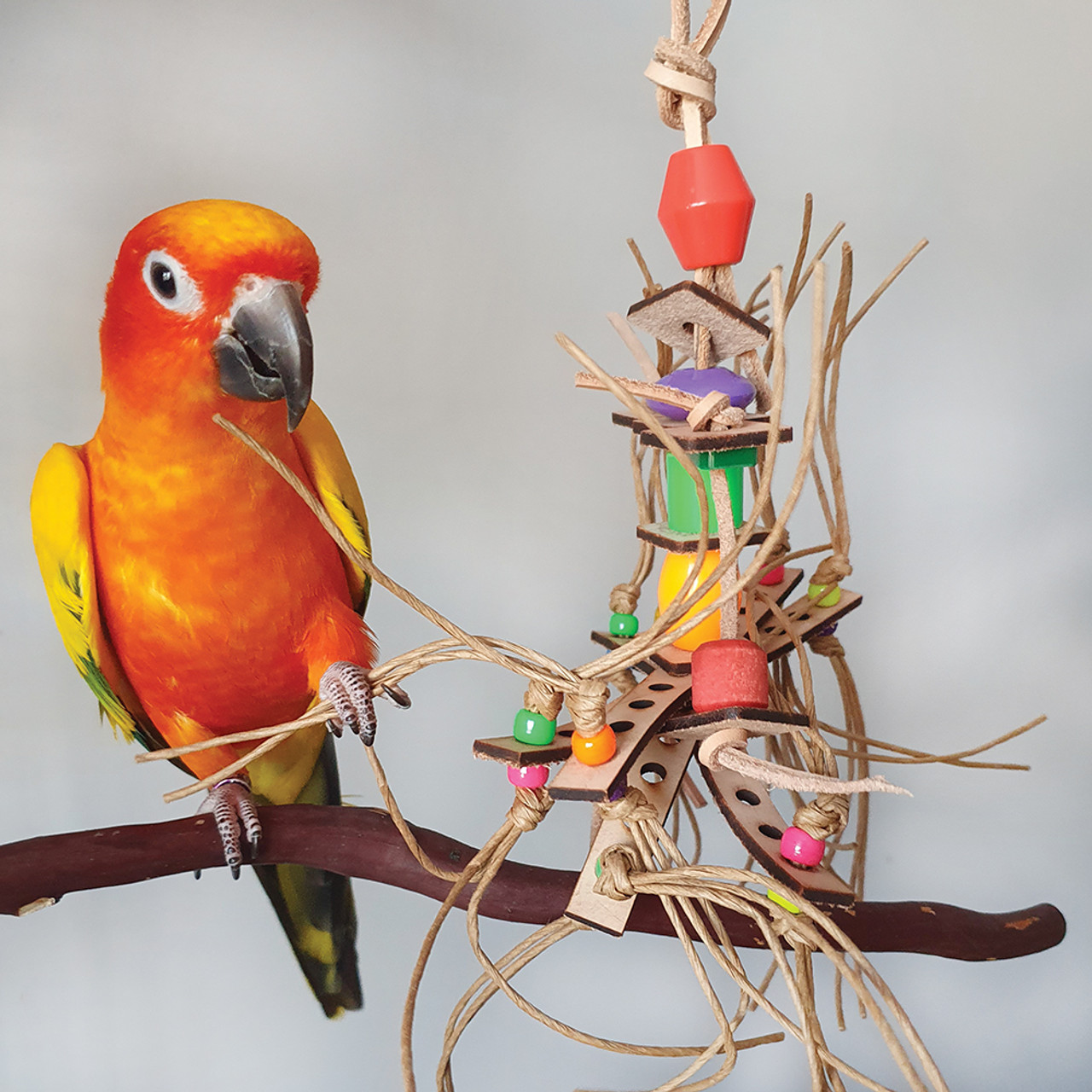 Leather hot sale parrot toys