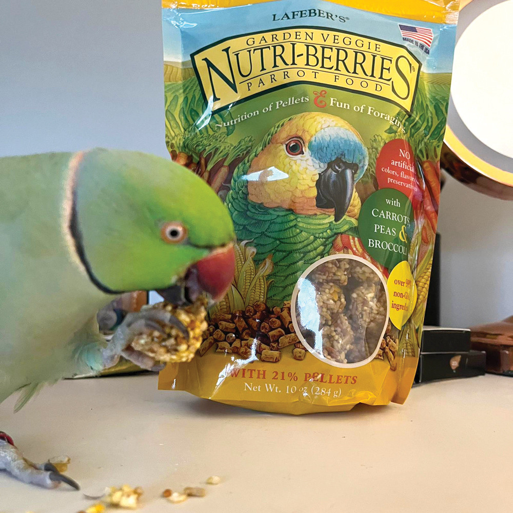 Senior Bird Nutri Nutri Berries Cockatiel Lafeber's Senior Blend