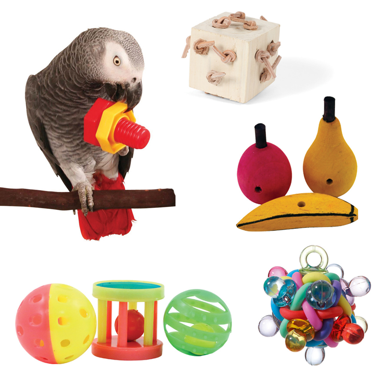 Best bird 2024 toys for conures