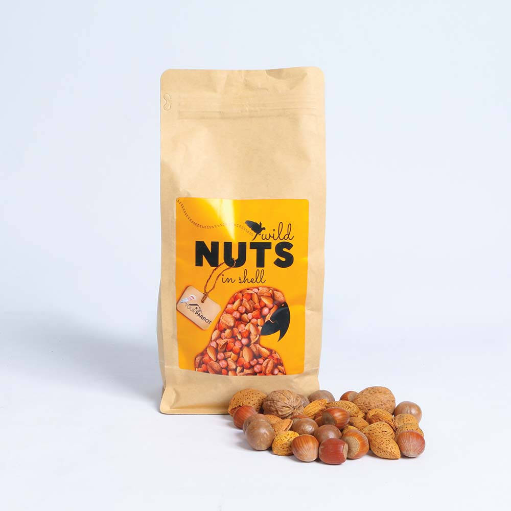 Your Parrot Wild Nuts in Shells Parrot Treat 1kg Northern Parrots