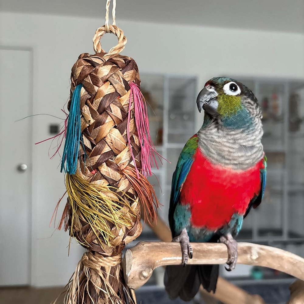 Natural Pinata Square Palm Leaf Parrot Toy Large - Northern Parrots