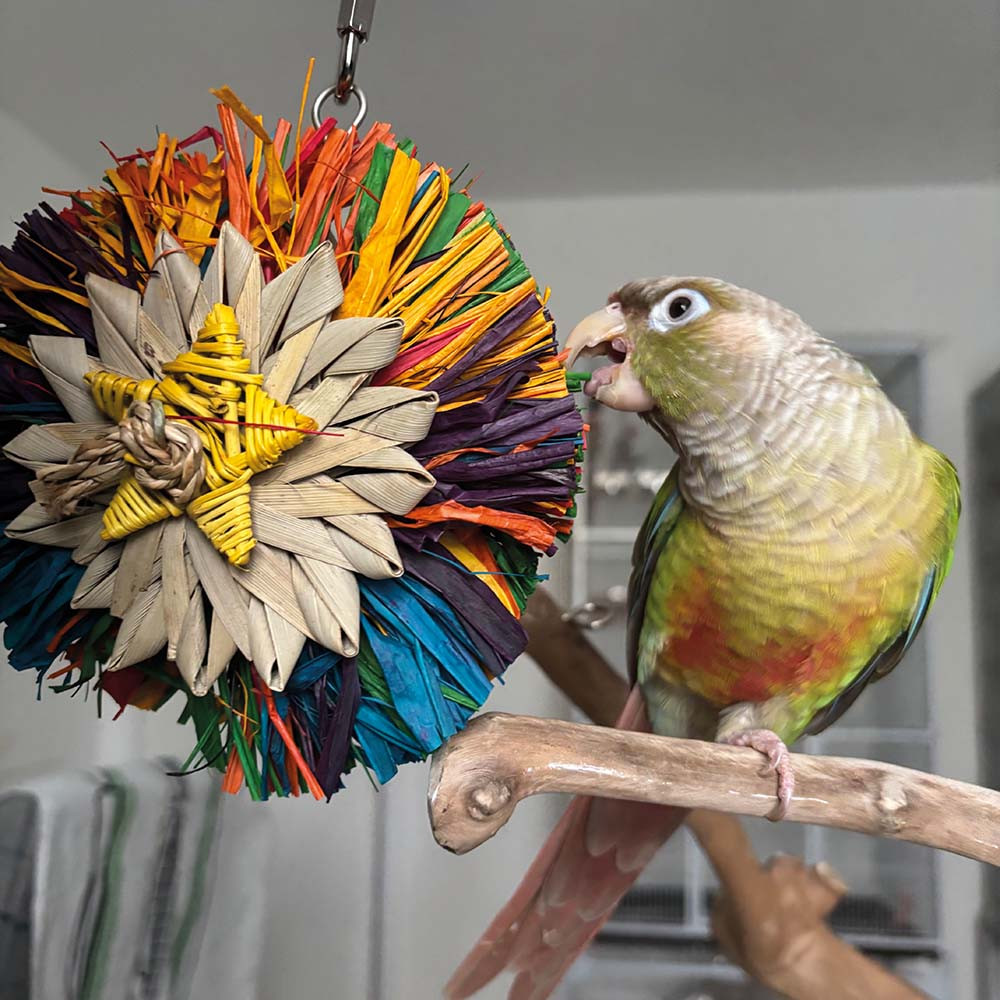 12pk Bright Coloured Corrugated Plastic Tubes – Parrot Bird Toy Foraging Parts, Small/Medium Size