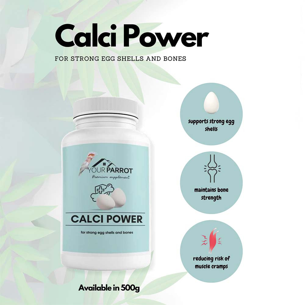 Calcisoft Your Parrot Supplement Calci Power - 500g Powder - Northern Parrots