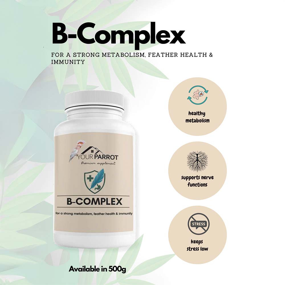 Your Parrot Supplement B-Complex - 500g Powder - Northern Parrots