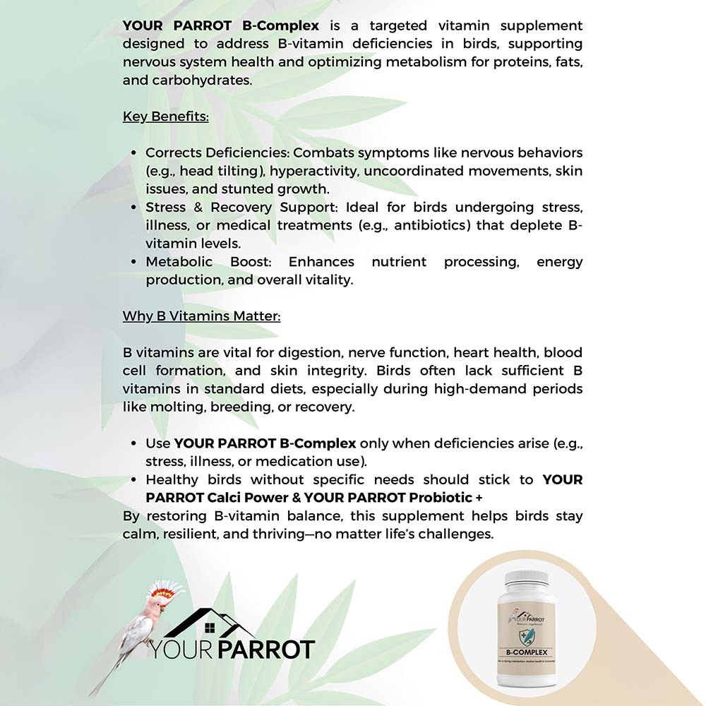 Your Parrot Supplement B-Complex - 500g Powder - Northern Parrots