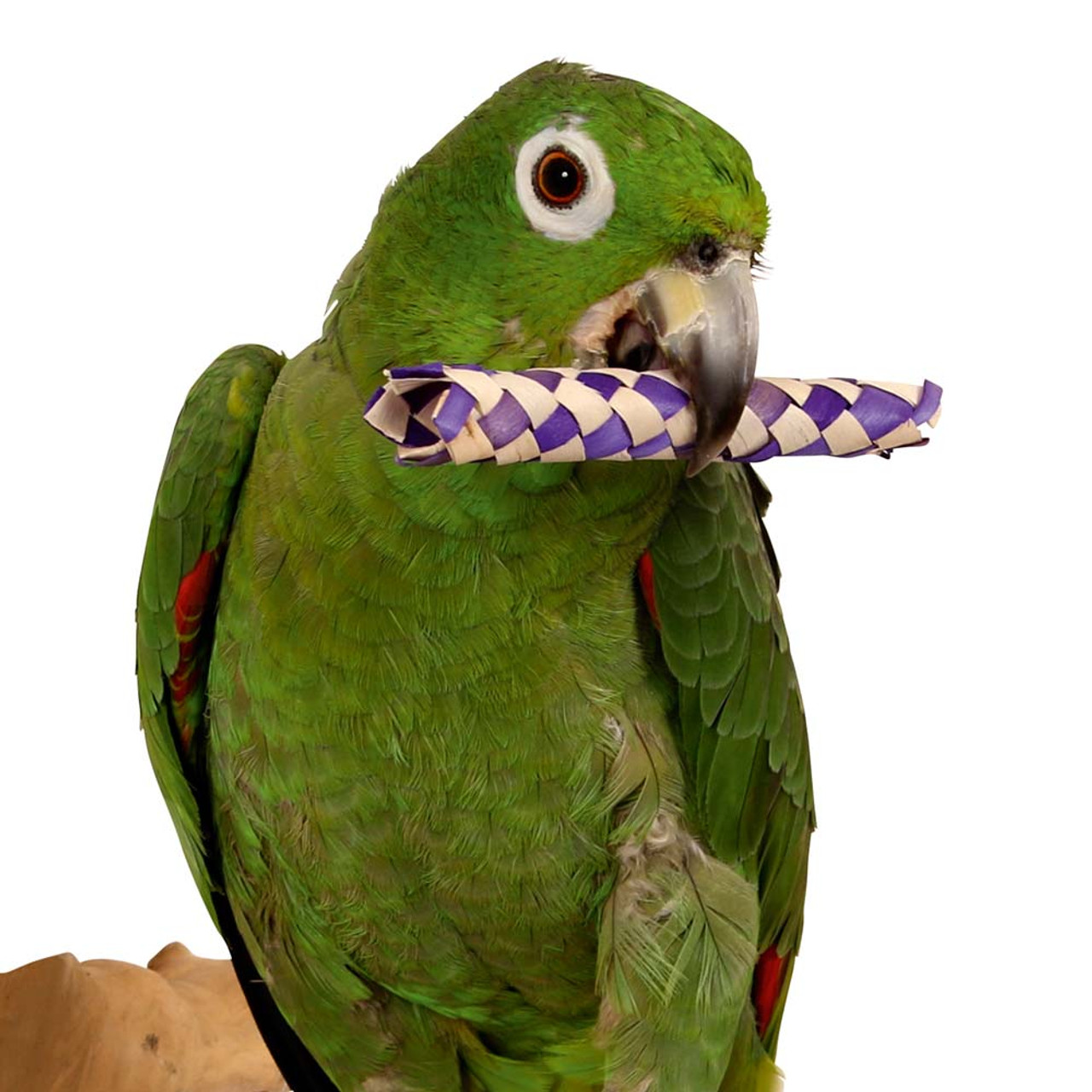 Best toys for conures clearance birds