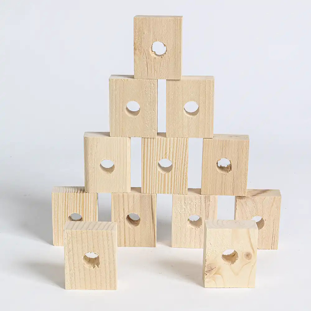 Natural Wooden Blocks Medium 12-Pack Parrot Toy