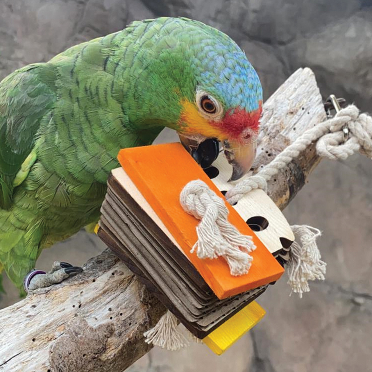 birdie bread for conures