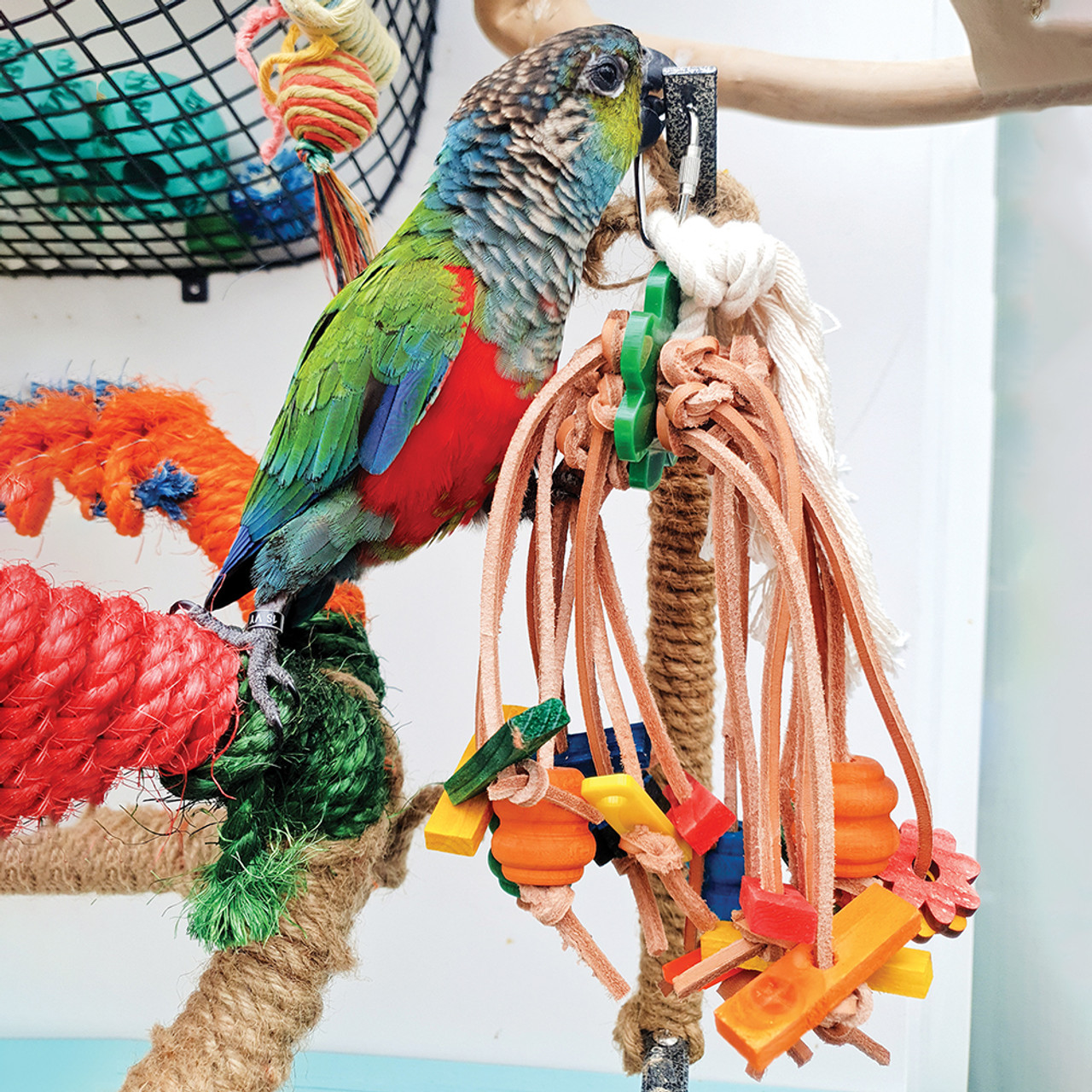 Rope Bird Chew Toy For Parrots, Wooden Block Parrots Chew Toy, Bird Toys