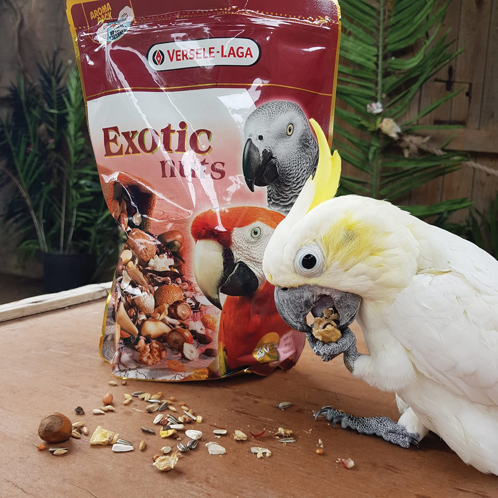 Prestige Exotic Nut Mix Parrot Treat 750g - Main Image