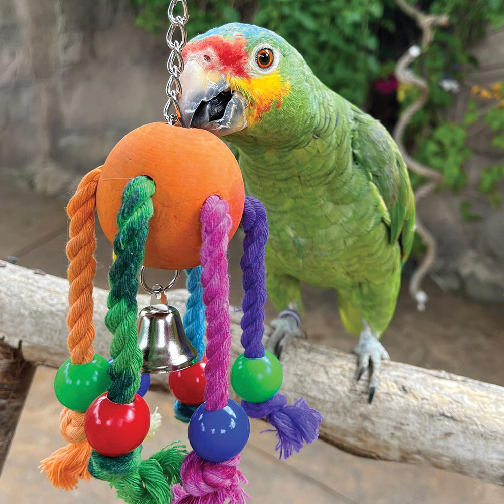 Jiggly Bug Wood and Rope Parrot Toy Northern Parrots