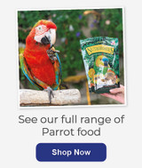 Parrot Food | Products Reviewed and How To Feed Them