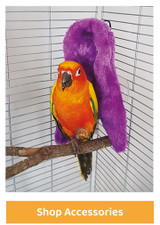 Parrot Accessories | Parrot Training Accessories and Perches