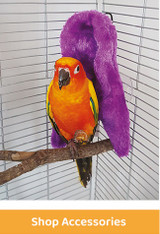 Parrot Accessories | Parrot Training Accessories and Perches