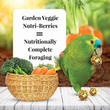 NutriBerries VS Standard Avian Diets