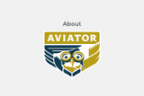 About Aviator