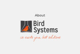 About Bird Systems