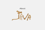 About Java