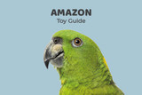 Amazon Parrot Toy Guide