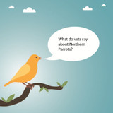 Vet Testimonials