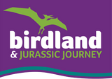 About Birdland