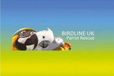 About Birdline Parrot Rescue ? Join the Flock