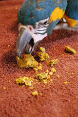 Managing Mess in Parrots