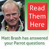 Your Parrot Questions For Television Vet Matt Brash