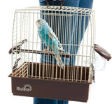 Travelling With Your Pet Bird Or Parrot