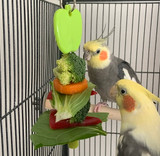 Why Parrots Need Vitamin A