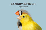 Canary Toy Guide